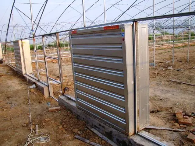 Sinogreen belt driven push pull type exhaust fan, 54 inch poultry house cooling exhaust fan