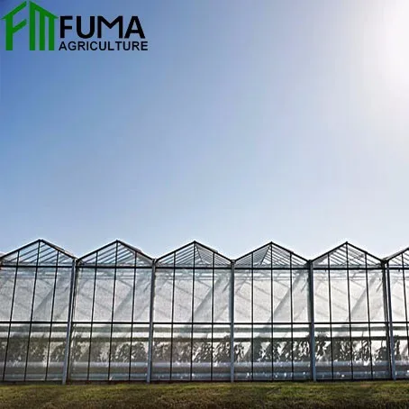 FM hot-dip galvanized steel structure glass agricultural green house net equipment used greenhouse cooling system for sale