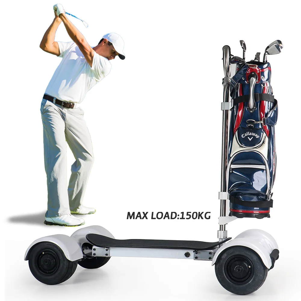 golf cars electric scooter LSY S2 2000W china manufacture Wholesale price golf skateboard