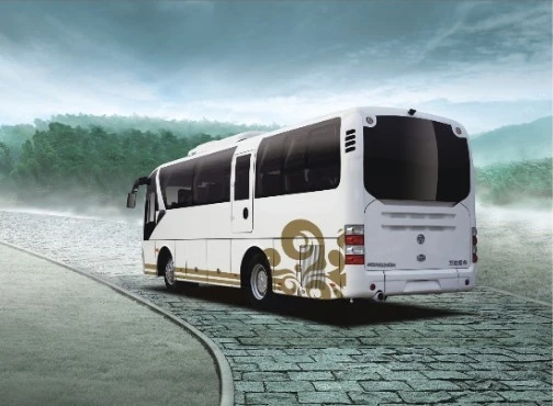 9m Luxury Comfortable Coaches Wd6900hd Luxury Coaches Bus Right Hand