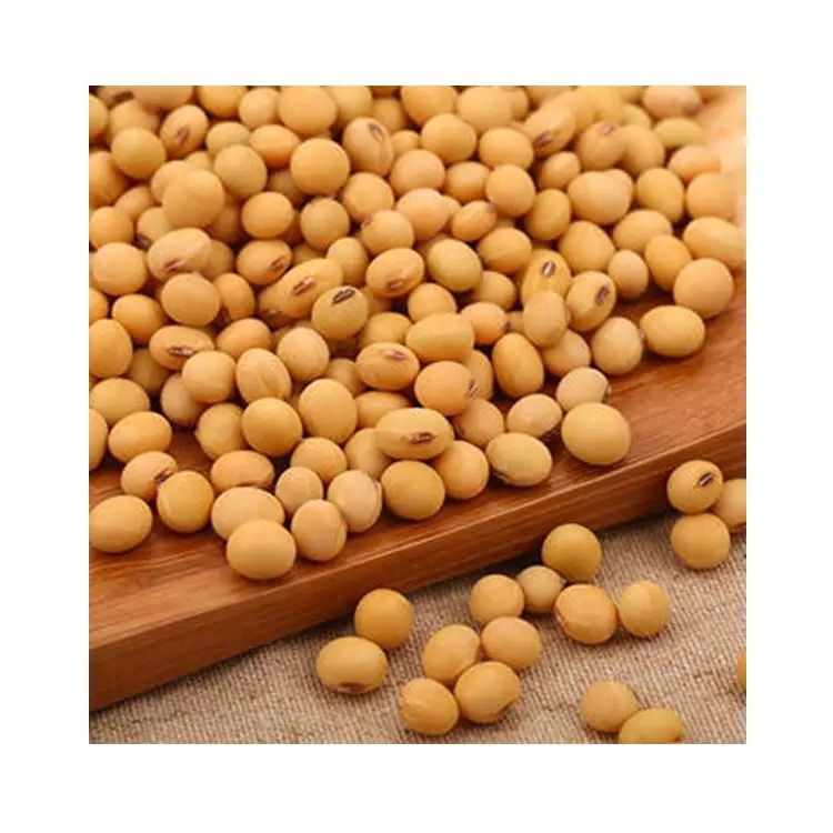 Best Price Agricultural Product Non Gmo Yellow Raw Soybeans Soybean