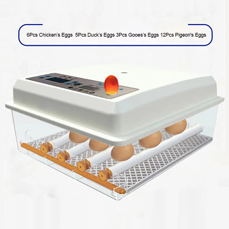 5pcs duck egg Dual Power Supply Medium-sized Automatic incubator