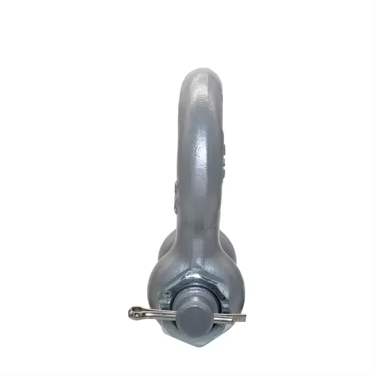 Hot Dip Galvanized Drop Forged G209 Lifting Marine Screw Pin Bow Shackle