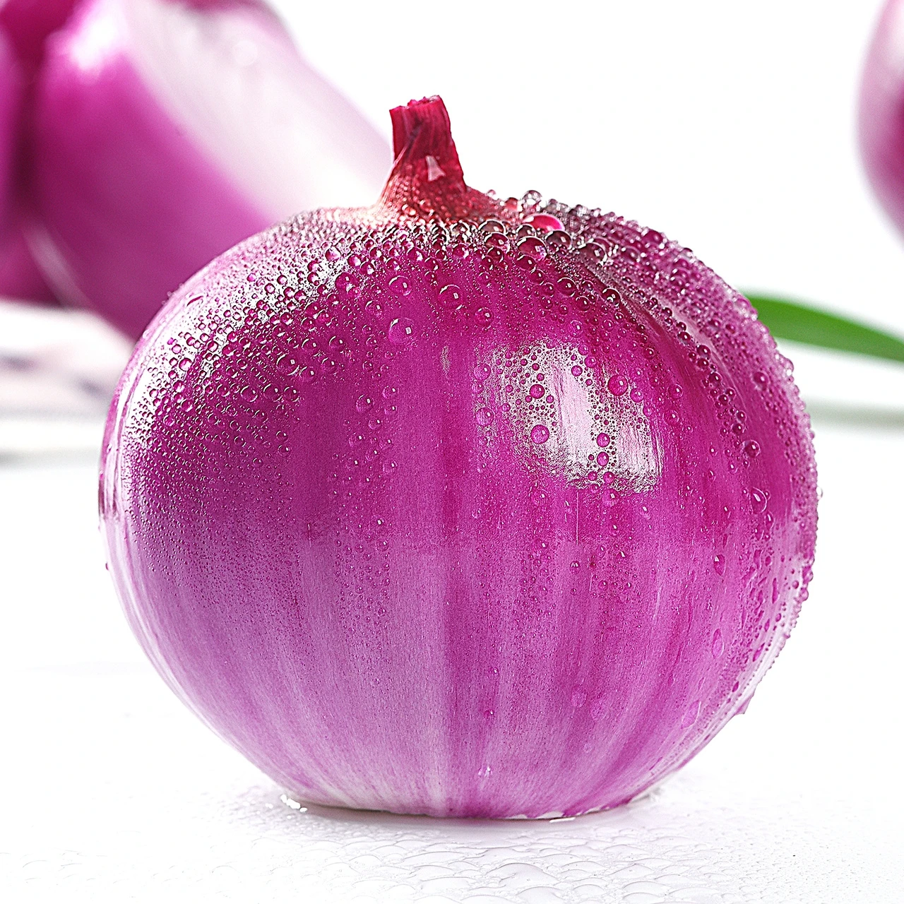 
New Crop High Quality Fresh Onions Red Onion Crop 