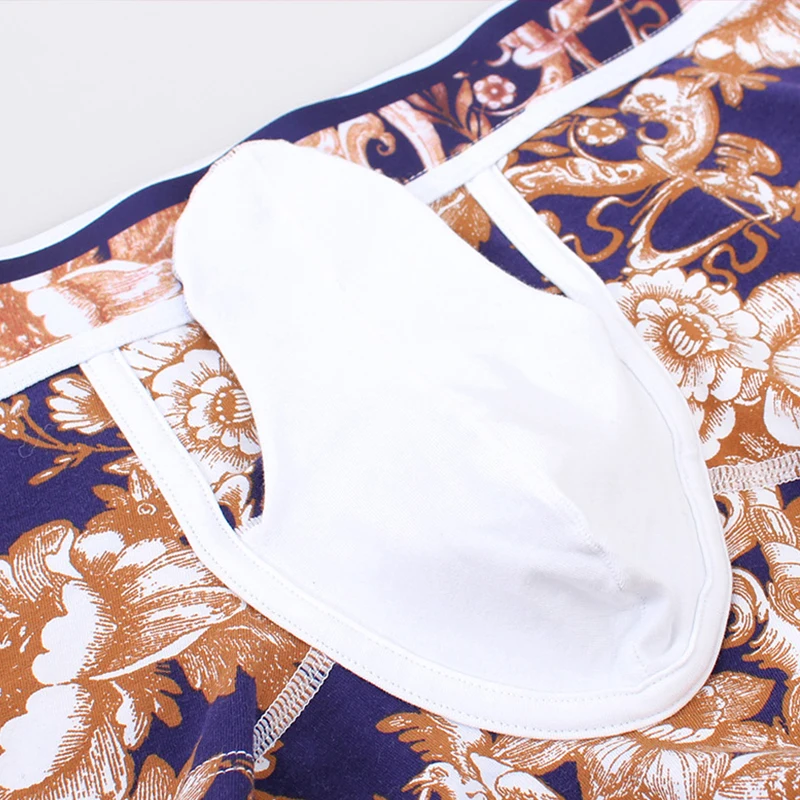 High Quality Custom Wholesale Elephant Nose Boxer Shorts Cotton Low Rise Sexy Airplane Underwear Penis Pouch Underwear For Men