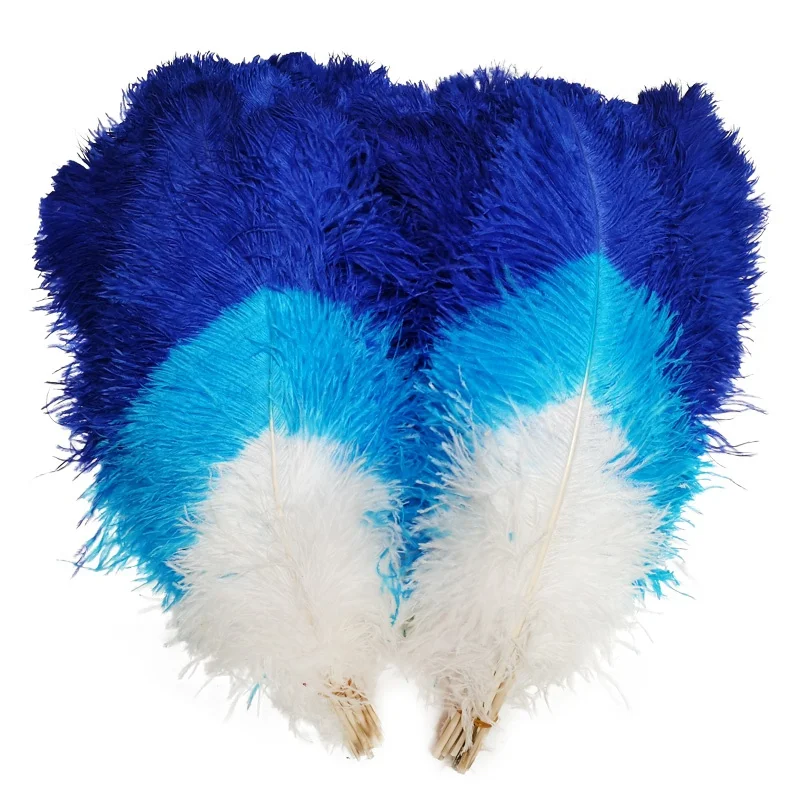 60-65cm Tipped Color Ostrich Feather BI-Color Ostrich Plumes Feather For Carnival Costume Headdress Backpacks Decorations