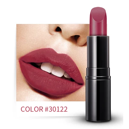 OEM Beauty makeup Professional long lasting lipstick Private Label matte lipstick palette