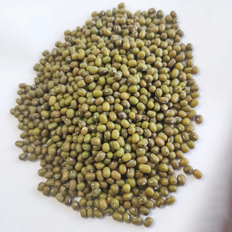 Китайские крупные бобы Mung для продажи