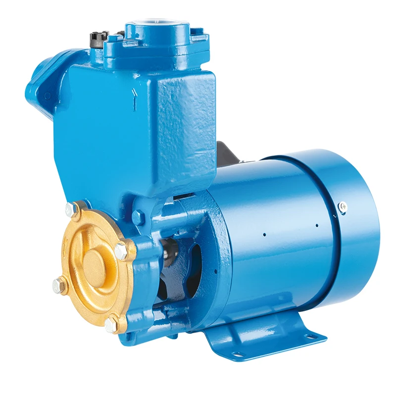 PS Domestic Auto Station mini dc single phase three Self-priming long distance water pumping motor automatic pump
