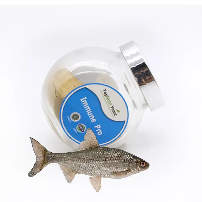 high protein autolyzed yeast as feed additives