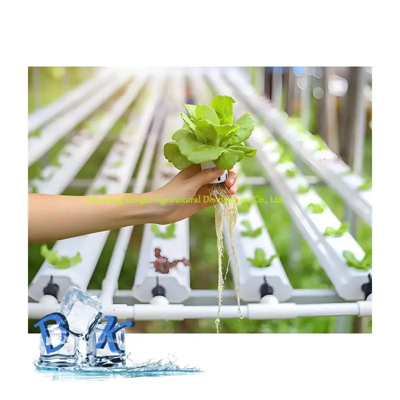 Agricultural Green House PVC Pipe Vertical Farm Hydroponics System for Strawberry