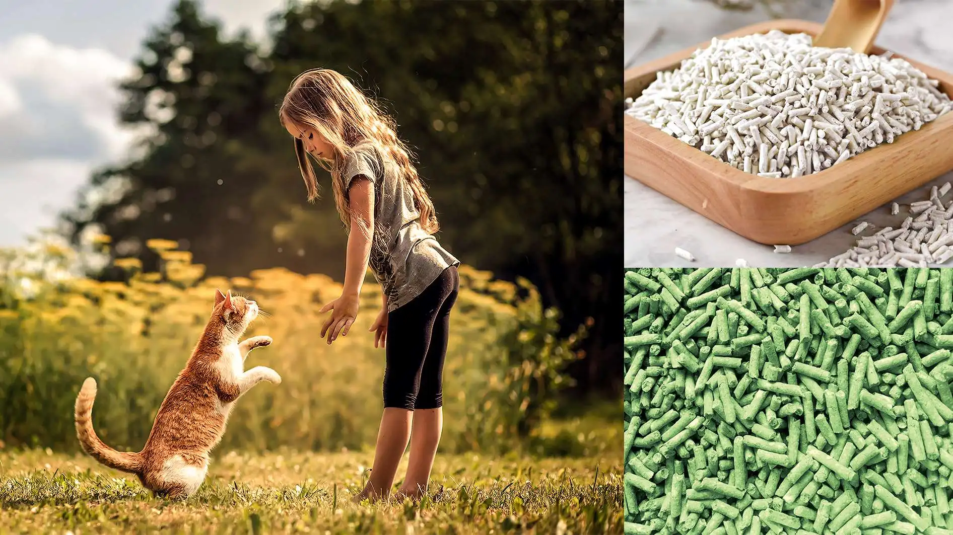 Natural Plant Tofu Odour Lock Bentonite Easy Scoop Clumping Washable Super Power Pellets For Clumping Tofu Cat Litter