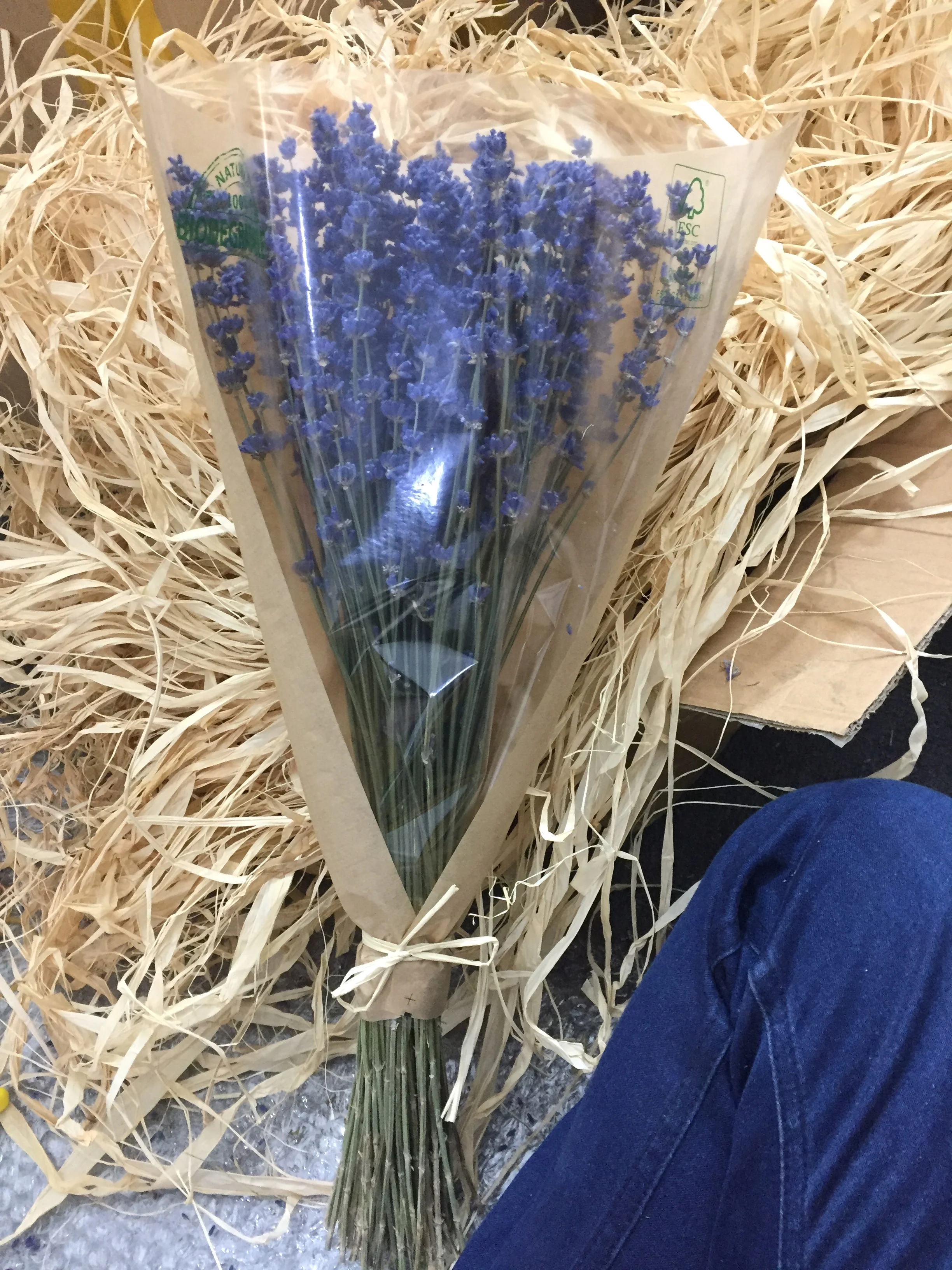 Оптовая продажа органических цветов лаванды