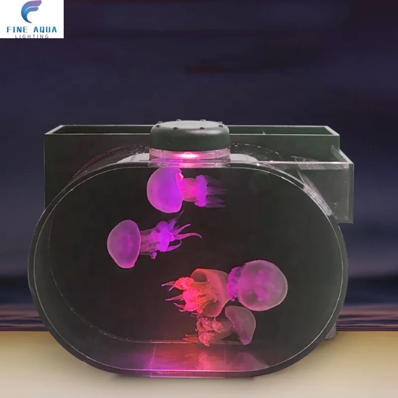 Modern LED RGB Acrylic Jellyfish Tank USB Rechargeable Night Light Hot Selling Small to Large Sizes for Bedroom Power via Touch