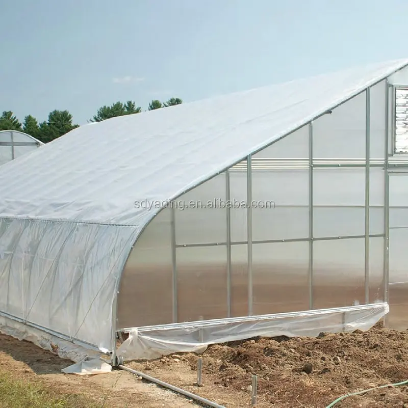 Single-span Agricultural Greenhouses Garden Used Greenhouse for Sale Small PEP Film Cooling System.irrigation.ventilation.etc