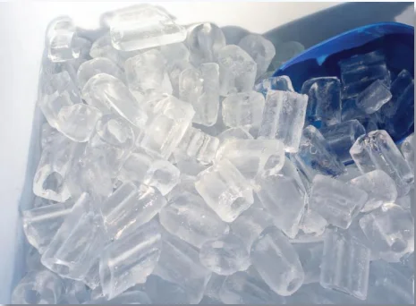 tube ice machine philippines 10 tons per day Bitzer compressor