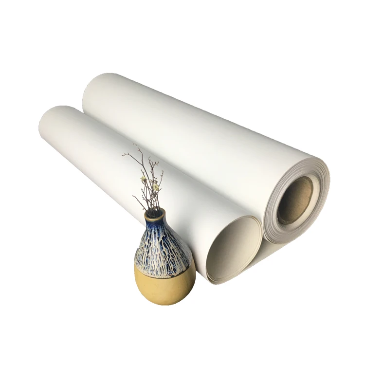 Large Format Roll 360gsm Matte Pure Cotton Eco Solvent Digital Printing Canvas