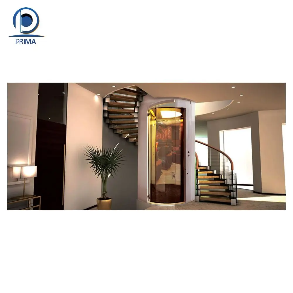 Fast Delivery Foshan Factory Home Elevator Electric Small Home Lifts Prices Residential Lift Passenger Elevator