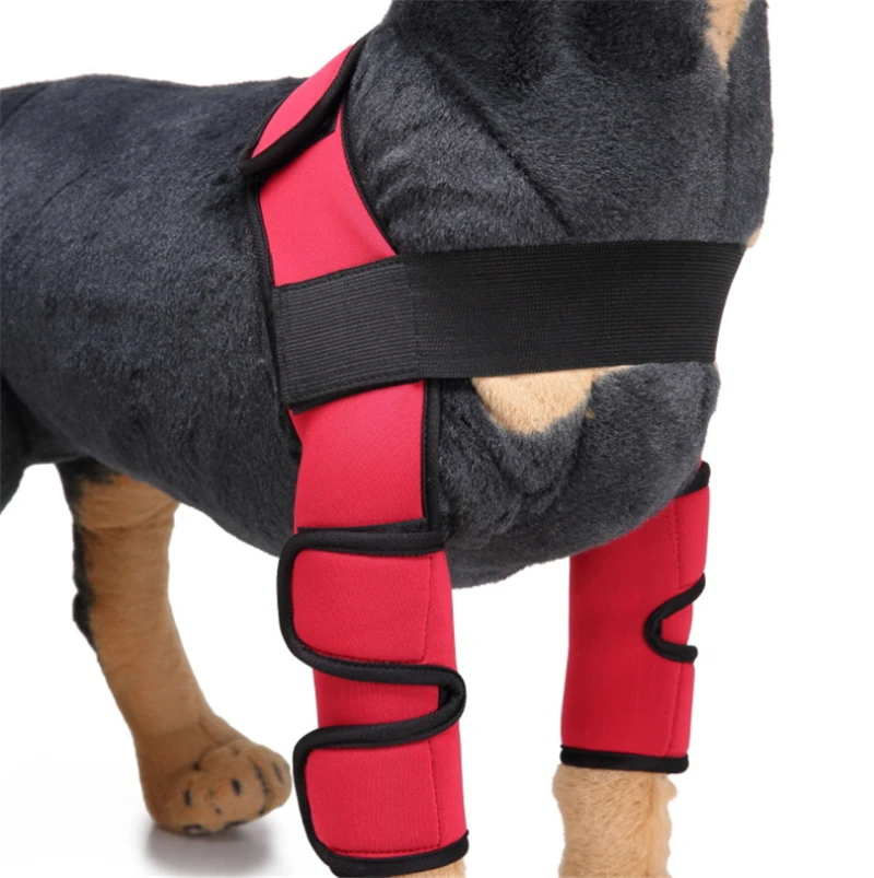 Hot Selling comfortable adjustable Protects Wounds Pet Dog Knee Brace