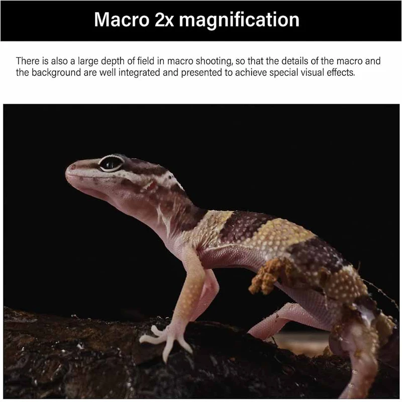 AstrHori 28mm F13 Full Frame  2x Macro Probe Specialty Lens for Sony E Nikon F Canon RF EF Fuji XF Nikon Z L PL Mount Camera Len