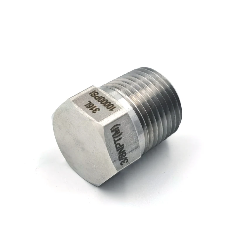 High Quality Stainless Steel 1/2 inch Testing  Pipe Fitting Plug