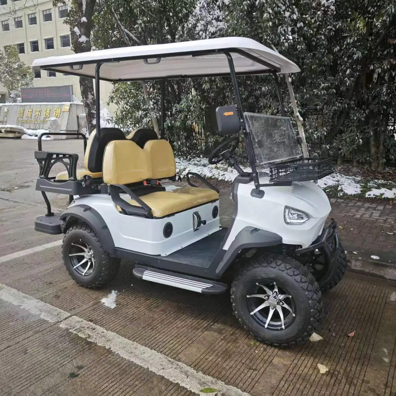 Wholesale Gasoline Powered 4 or 6 seater EPA Certified Off Road Petrol engine golf cart Gas Power Golf Buggy Car