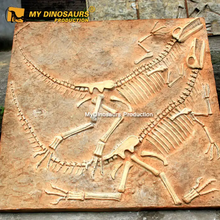  MY Dino DS078 ископаемая грунтовка динозавра