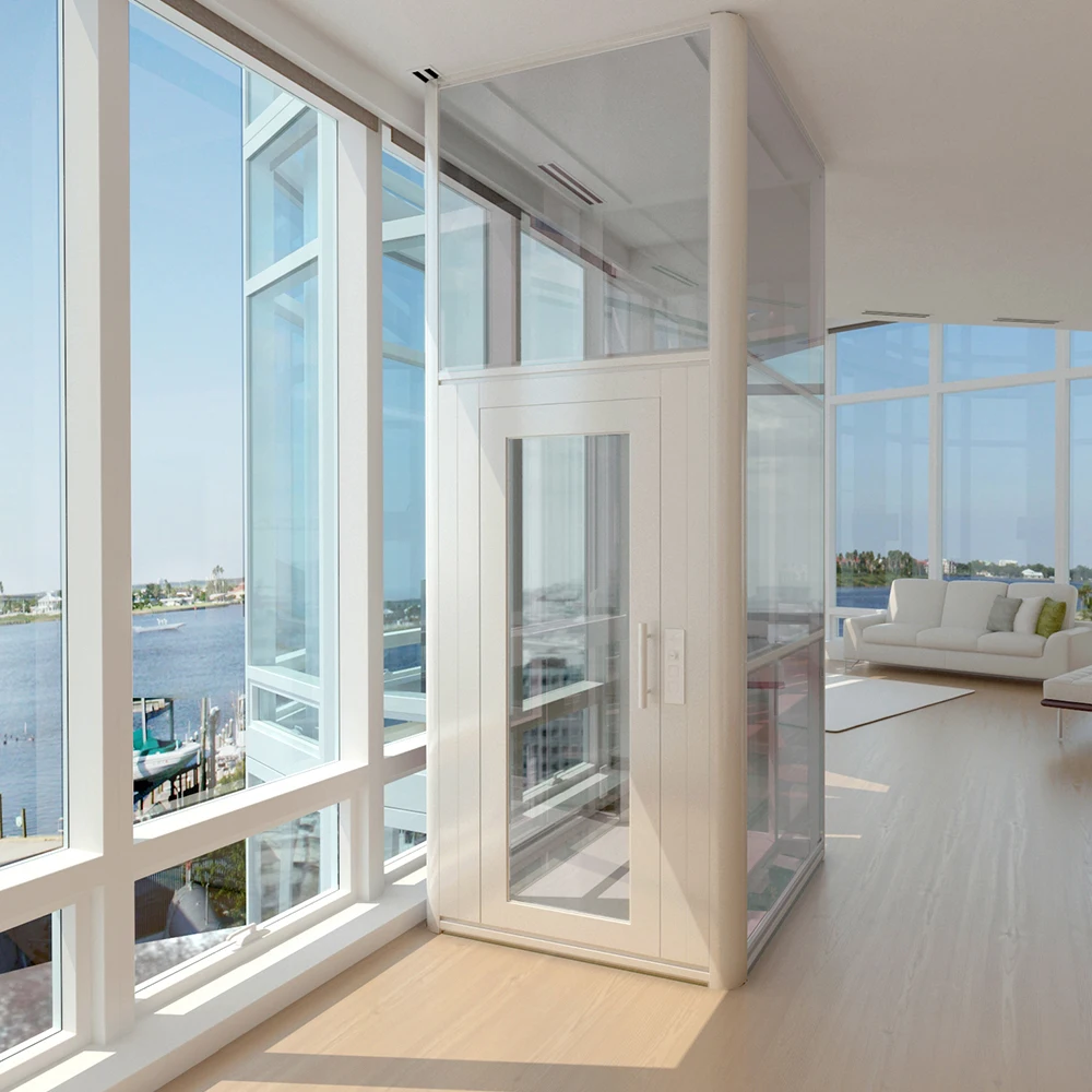 Modern Design China Manufacture Fashion Hydraulic Home Villa Elevator Customized Size Elevators