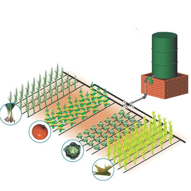 
Potato irrigation system drip agriculture farm irrigation system 