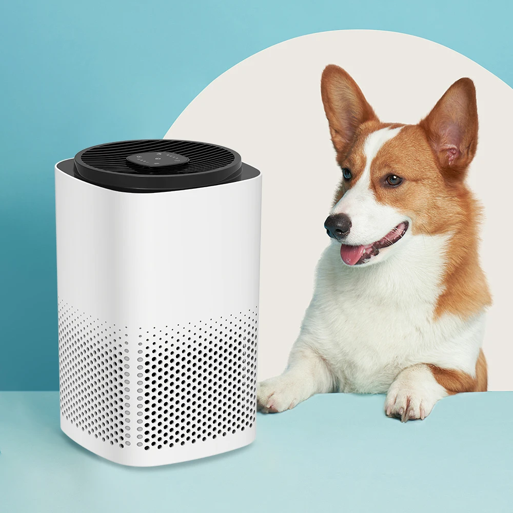 Wholesale Portable Desktop Air Purifier HEPA Filter Electric Power Source Breathe Clean Air for Home or Office