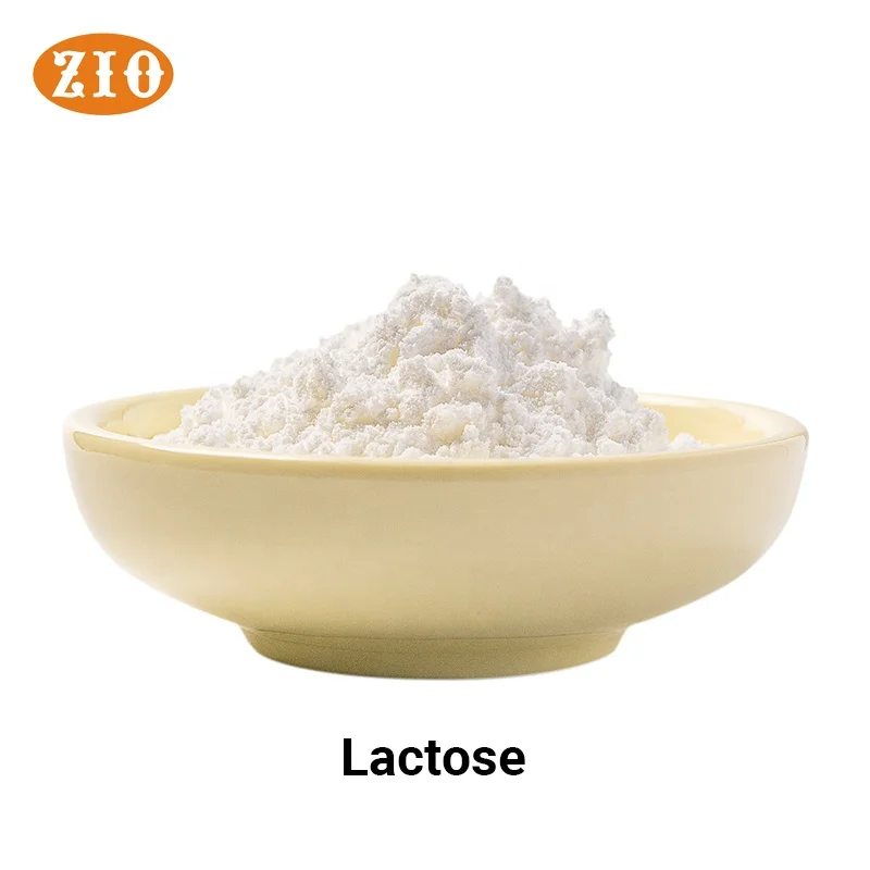 Lactose Powder monohydrate/anhydrous best quality lactose CAS 63-42-3