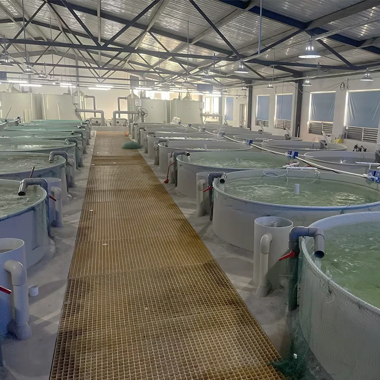 Fra Series Pp Tank Fish/Acrylic Cylinder Fish Tank/Lobster Tank