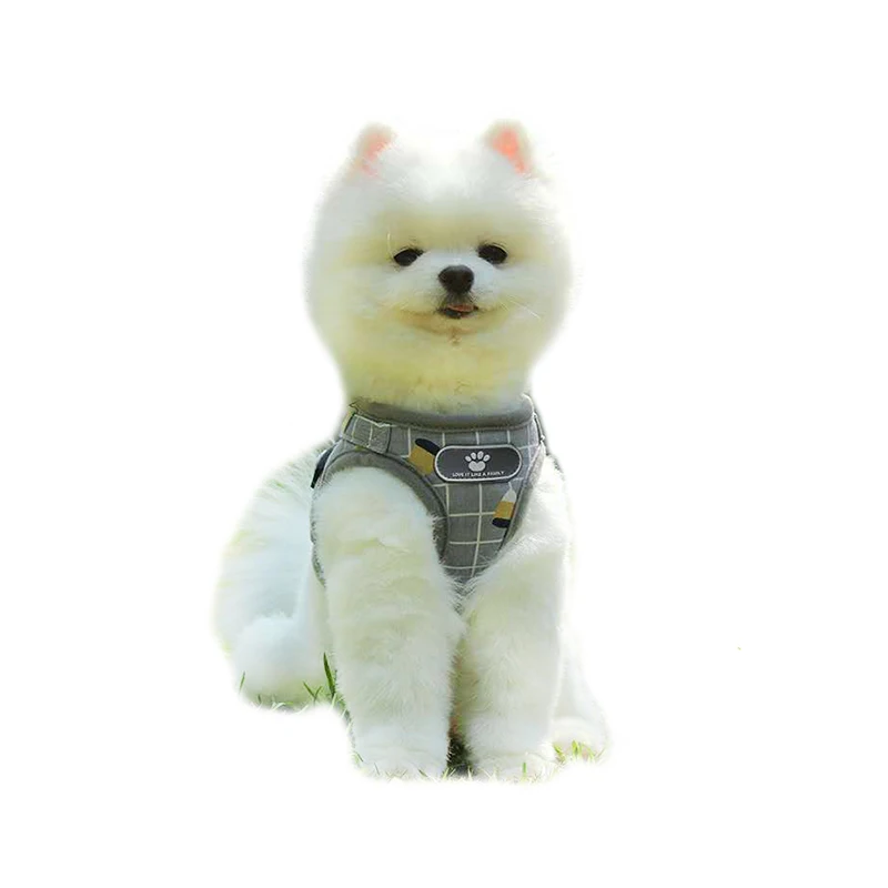 2021 Custom Cheap Price Designer Style Fashion  Luxury Comfort Soft Mesh Pet Dog Harness For Pitbull