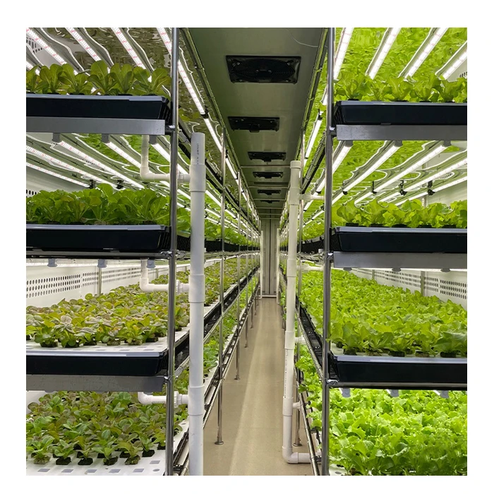 Microgreens Vertical Hydroponic Container Box Farm/ Greenhouse