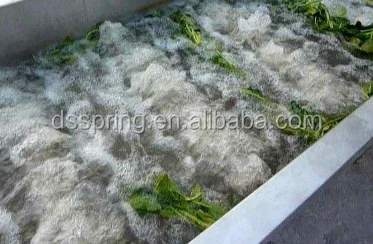 continuous belt type carrot brush polish washing machine removing the soil for vegetable process factory