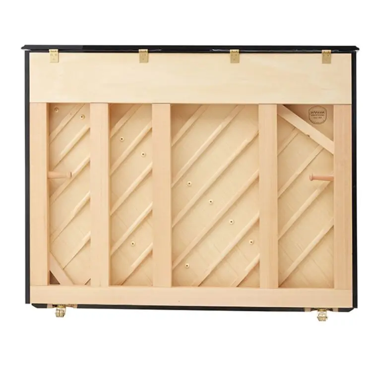 Factory Directly Sell Piano Keyboard  Triangle German Strunz Solid Wood Dual Toneboard Piano