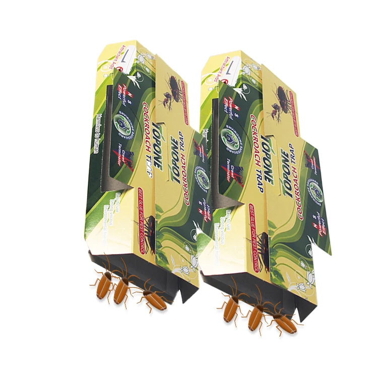cockroach defense professional roach killer natural Cockroah bait  trap