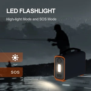 1000W Pure Sine Wave 220v Outdoor Camping Lithium Generator Supply Bank Solar Station Portable Power Stations