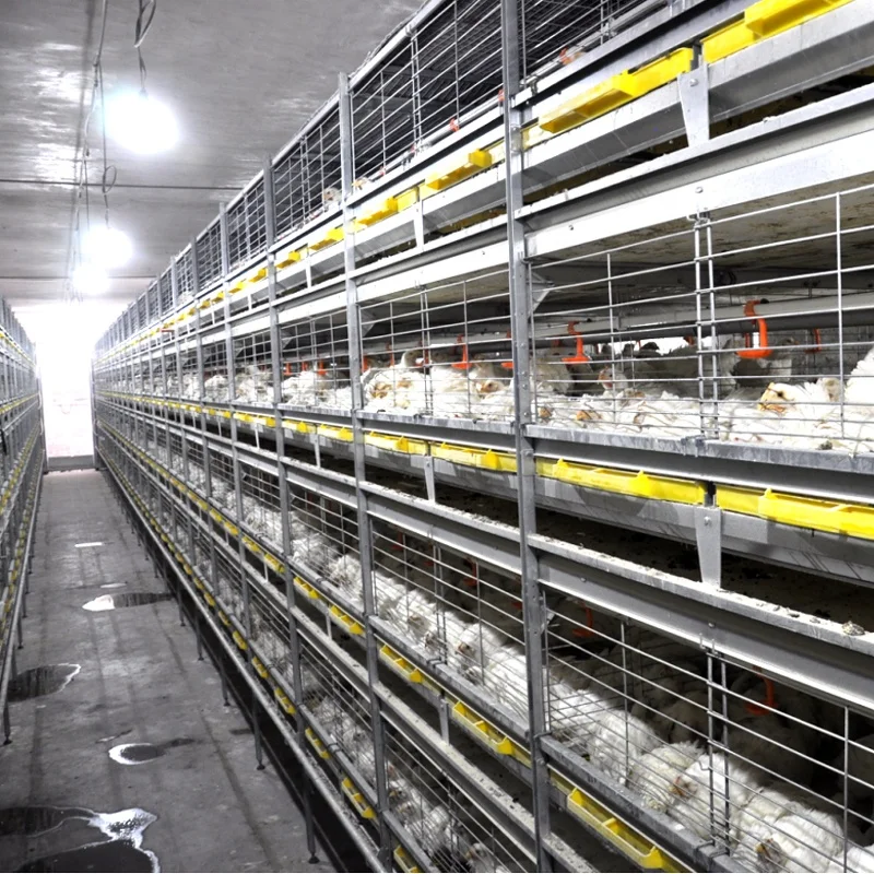 50000 chicken automatic harvesting poultry farming equipment pull-out floor broiler chicken cage from broiler cage manufacturer