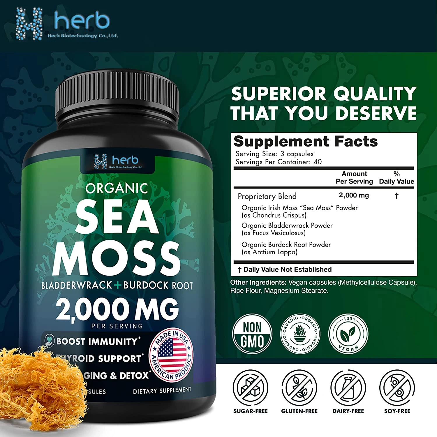OEM private label Herbal supplement Sea Moss Pills Certified Organic Bladderwrack Irish Sea Moss Capsules