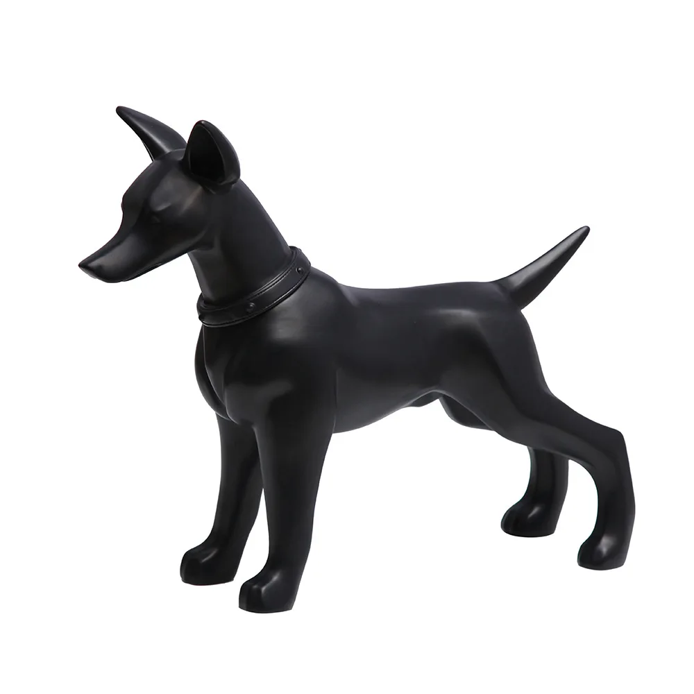 GREAT model dog for pet school display grooming practice Toy Poodle Full Body Pet Dog Model Educational Dog