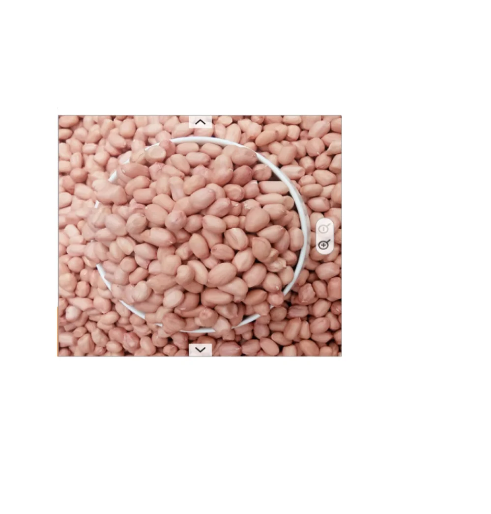 peanuts in Shell Wholesale Rich Nutrition Salted Roasted peanuts in Shell Raw Shell Wholesale peanuts Organic Peanut