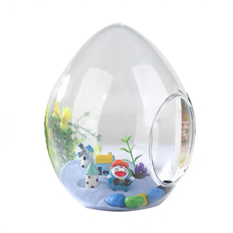 Factory direct vase micro landscape ecologica egg shaped glass vase pot terrarium glass vases for home decor