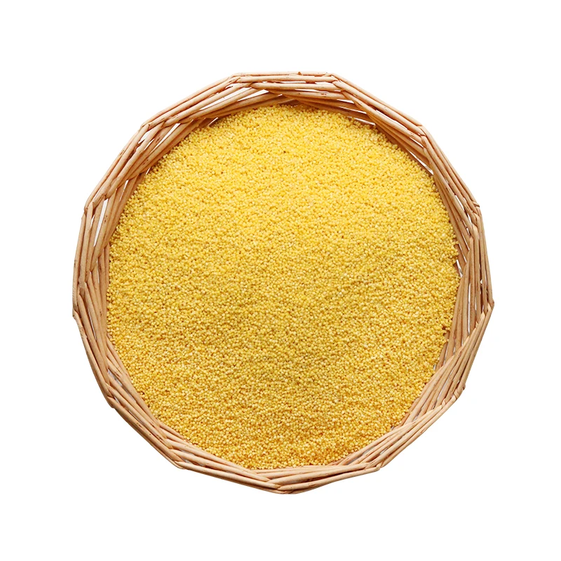 Top Rated Best-Selling new crop yellow millet whole yellow bulk yellow millet
