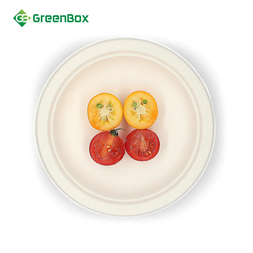 High Quality Good Price Sugarcane Bagasse Tableware Round Plate Disposable Paper Plate