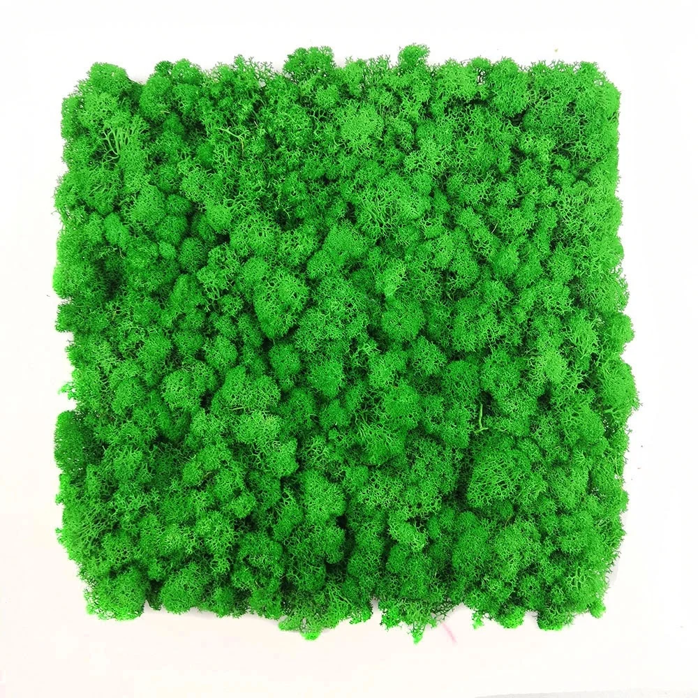 2022 A-mazon Hot Selling 30x30 cm moss wall panel Stabilized Lichen Reindeer Preserved Moss