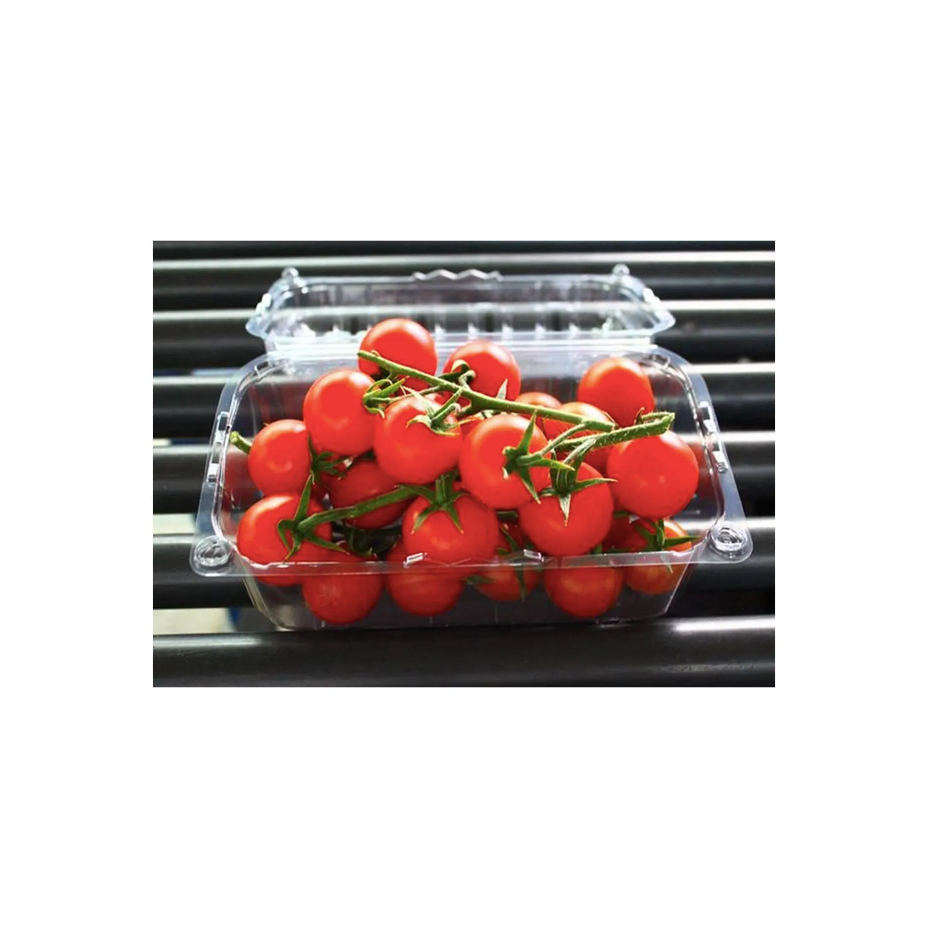 Wholesale moroccan farm high quality fresh sweet red cherry tomato
