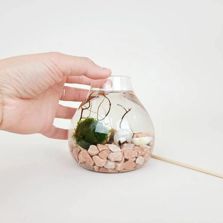 Diy Craft Kits Moss Ball Artificial Terrarium Kit Landscape Paintings Live Sea Moss Decoration Gummies