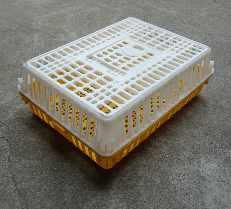 Truck transportation cage live chicken plastic cage plastic small animal carrier cage wholesale