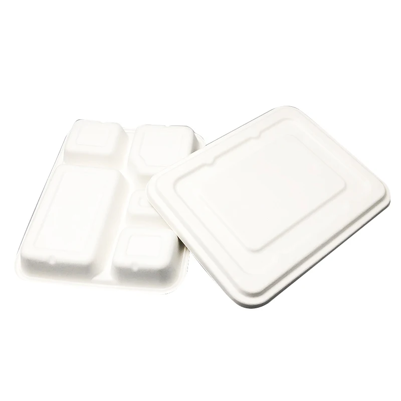 Kingwin 600ML Biodegradable Disposable Food Container Sugarcane Bagasse Packing Box Eco friendly Tableware Take Away Container
